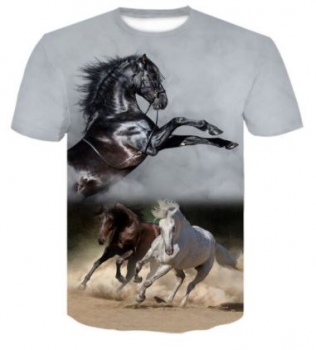 Atmungsaktives Funktionsshirt "Stallion" Größe L